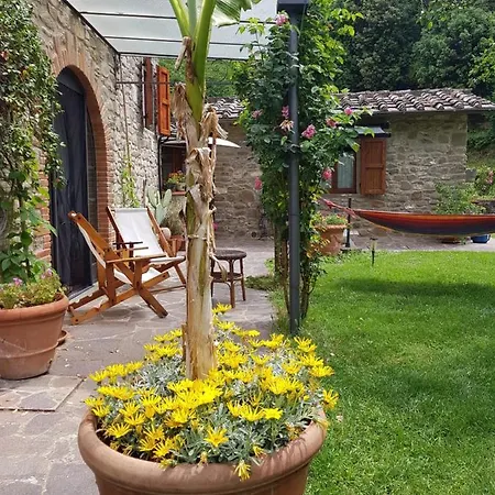 La Casa Nel Chianti Apartment Greve in Chianti